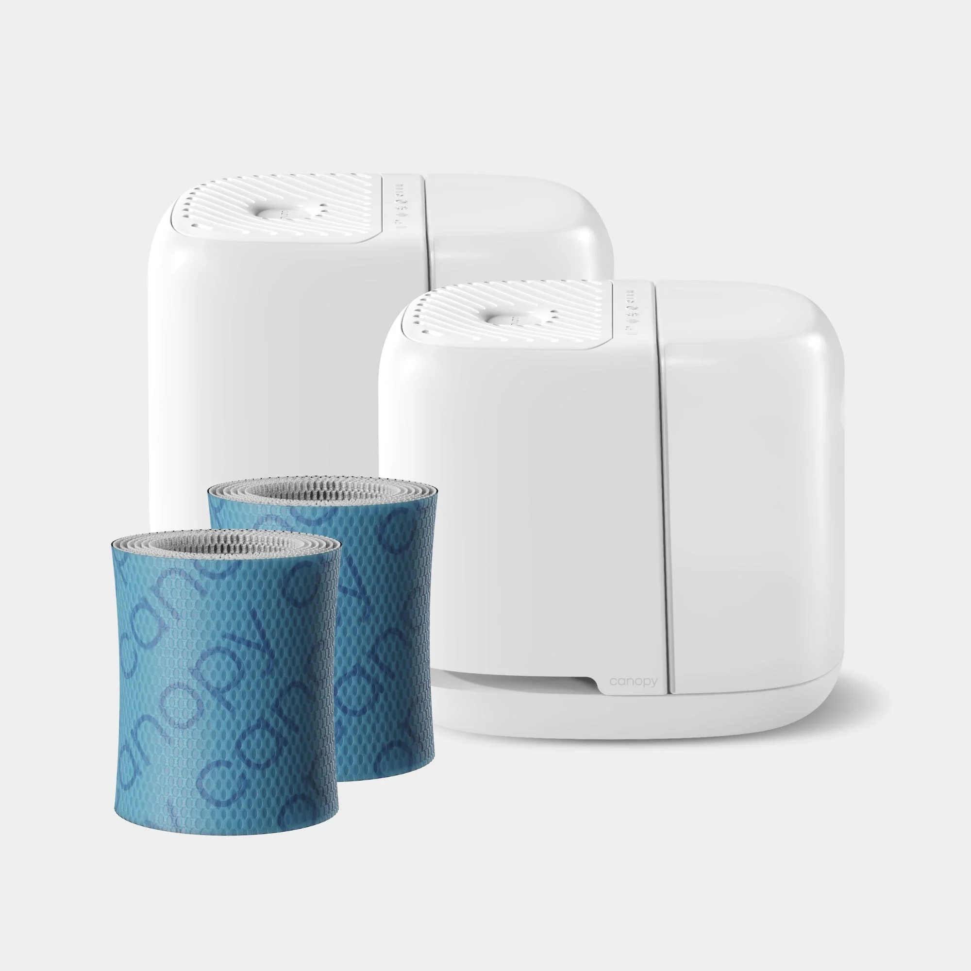 Clean Air for Glowing Skin